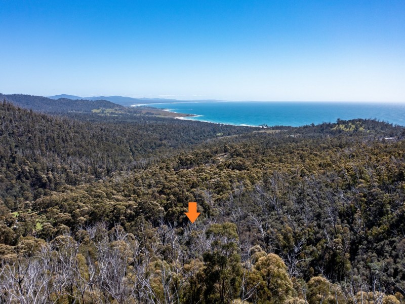 333 Davis Gully Road, Four Mile Creek TAS 7215