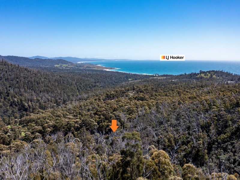 333 Davis Gully Road, Four Mile Creek TAS 7215