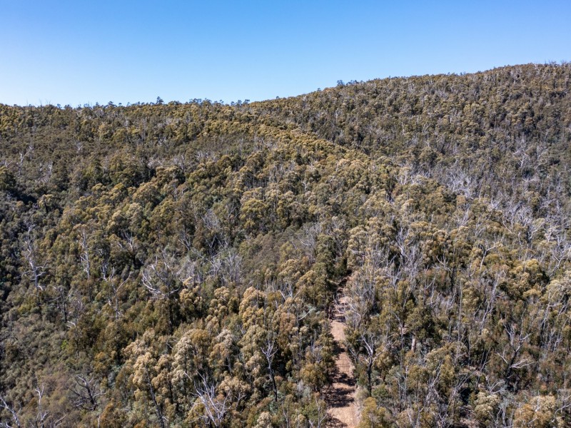 333 Davis Gully Road, Four Mile Creek TAS 7215