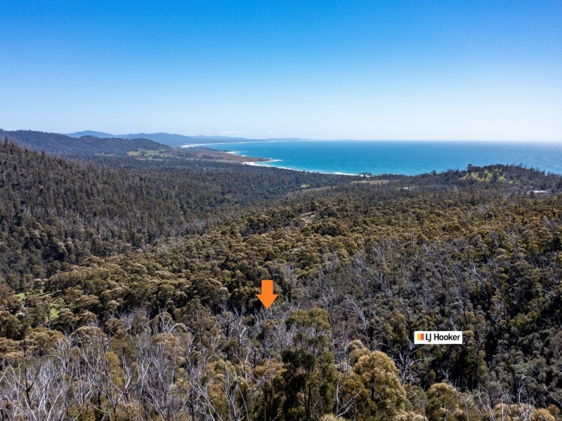 333 Davis Gully Road, Four Mile Creek TAS 7215