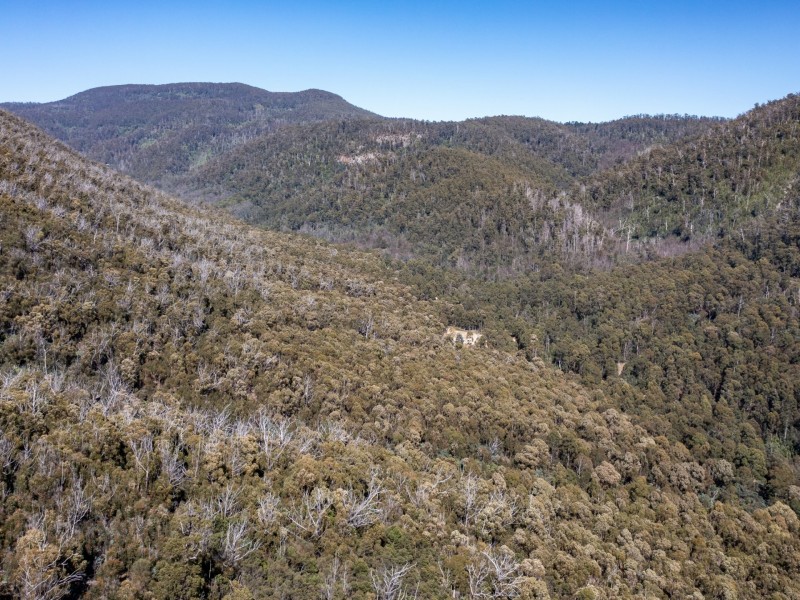 333 Davis Gully Road, Four Mile Creek TAS 7215