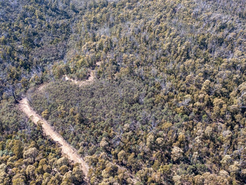 333 Davis Gully Road, Four Mile Creek TAS 7215