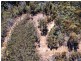 333 Davis Gully Road, Four Mile Creek TAS 7215