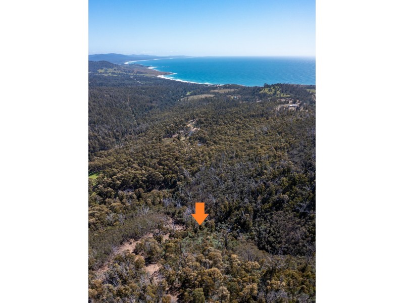 333 Davis Gully Road, Four Mile Creek TAS 7215