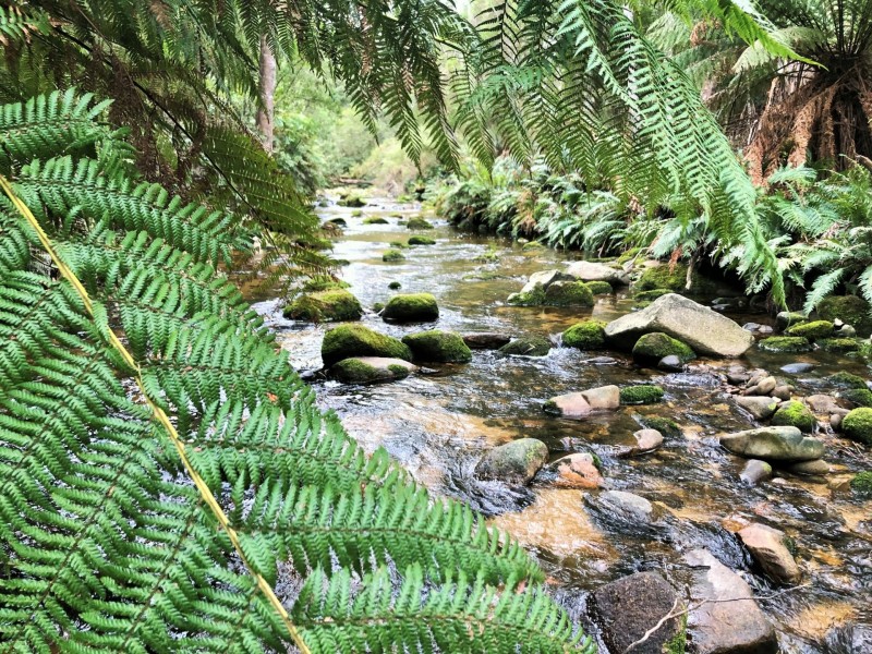 24 Fitzgeralds Road, Goulds Country TAS 7216