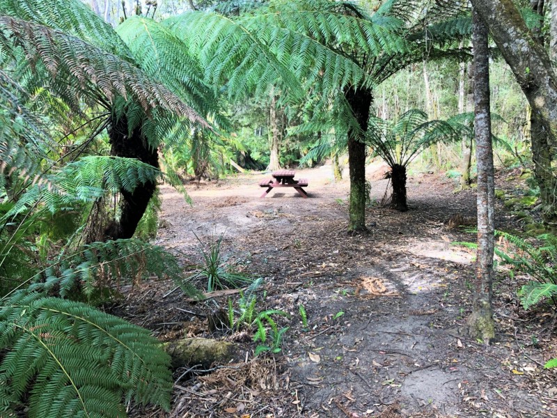 24 Fitzgeralds Road, Goulds Country TAS 7216