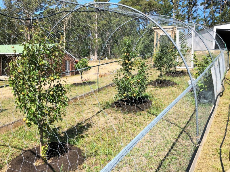 24 Fitzgeralds Road, Goulds Country TAS 7216