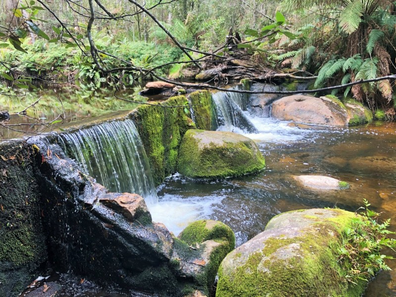 24 Fitzgeralds Road, Goulds Country TAS 7216