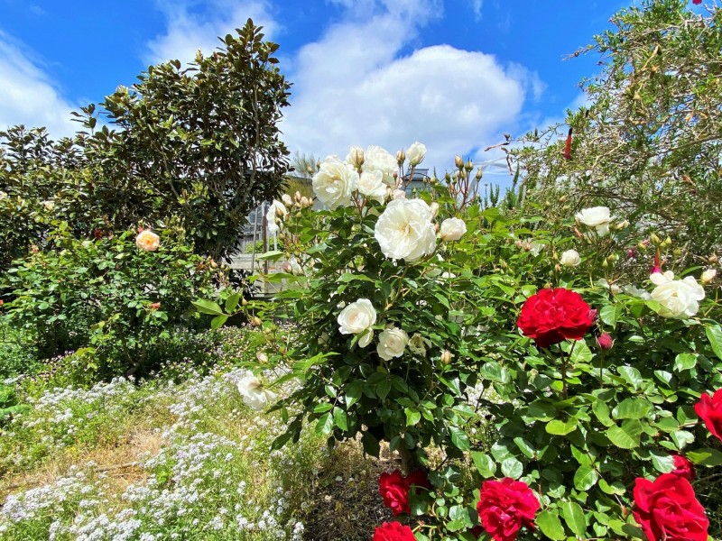 3 Douglas Court, St Helens TAS 7216