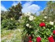 3 Douglas Court, St Helens TAS 7216