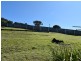 174 Scamander Avenue, Scamander TAS 7215
