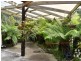 77 Heritage Road, St Helens TAS 7216