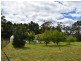 84 Upper Scamander Road, Scamander TAS 7215