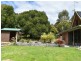 84 Upper Scamander Road, Scamander TAS 7215