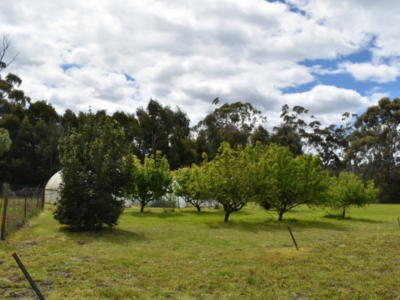84 Upper Scamander Road, Scamander TAS 7215