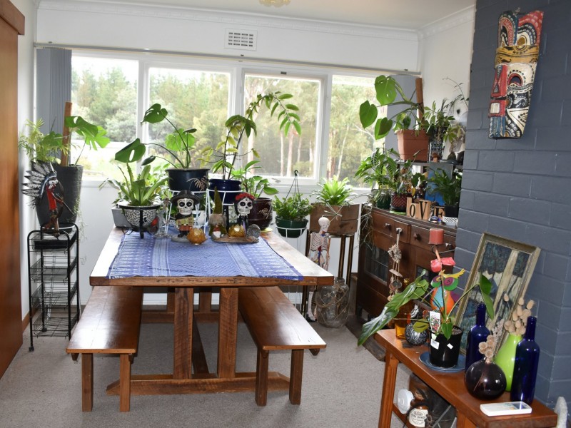 41 Gray Road, St Marys TAS 7215