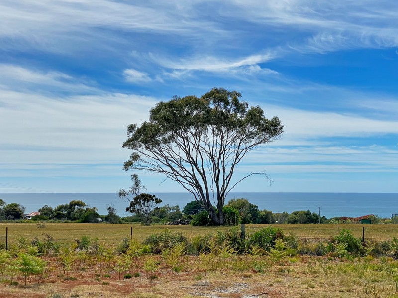 10 Seabreeze Court, Beaumaris TAS 7215