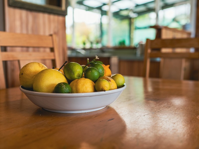 28 Atlas Drive, St Helens TAS 7216