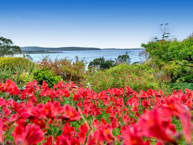 28 Atlas Drive, St Helens TAS 7216