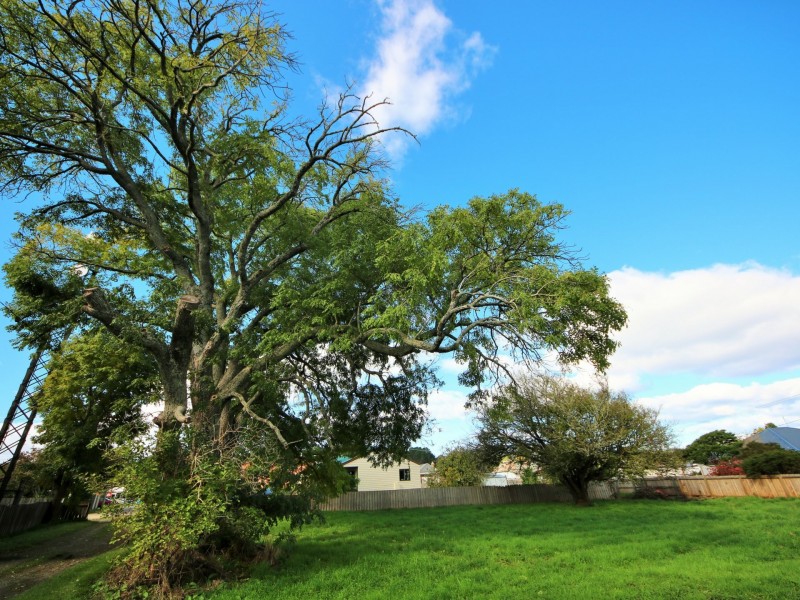 3 Salter Lane, St Marys TAS 7215