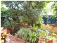 41 East Street, Mount Isa QLD 4825