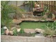 Mount Isa QLD 4825