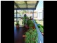 31 Russell Crescent ( Under Contract ), Mount Isa QLD 4825