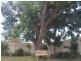55 Second Street, Mount Isa QLD 4825