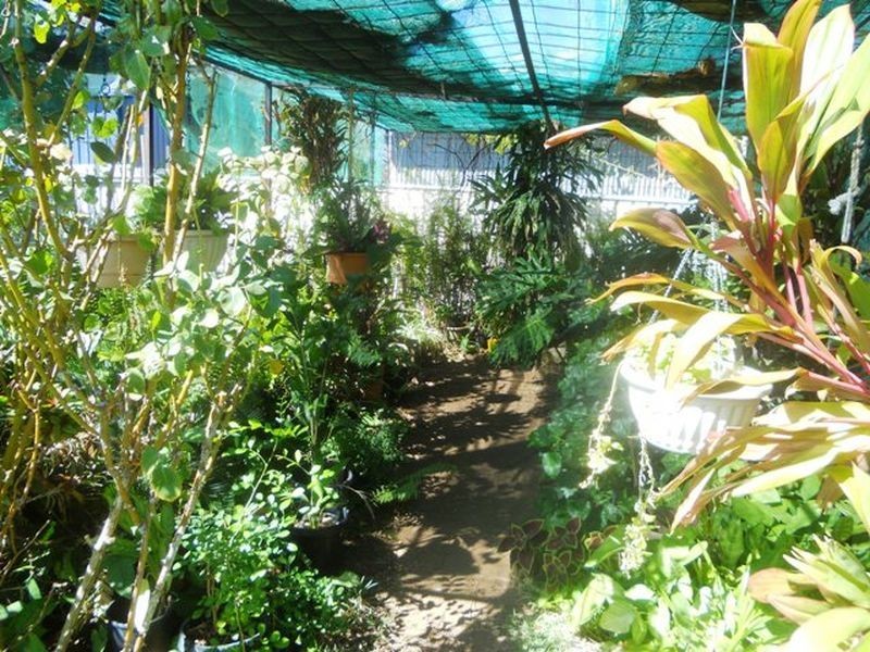 73 Arline Street, Mount Isa QLD 4825