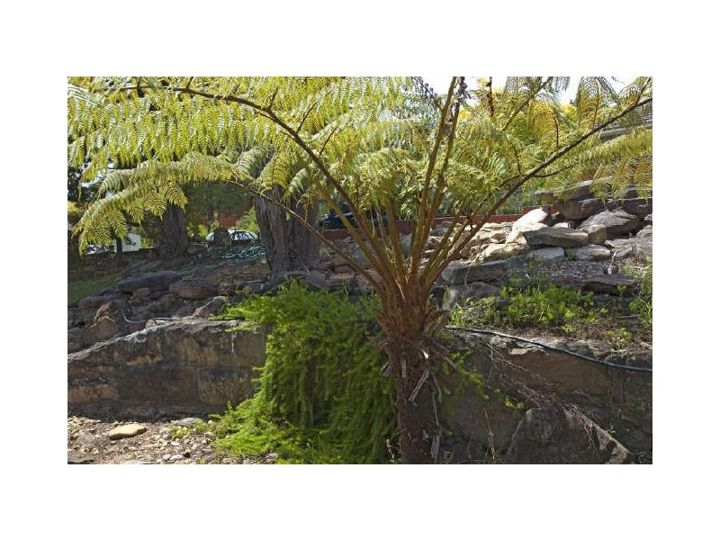 5 Watford Close, North Epping NSW 2121