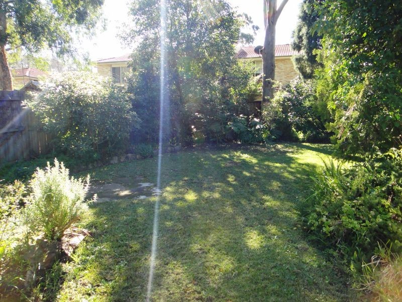 19 Waterloo Road, North Epping NSW 2121