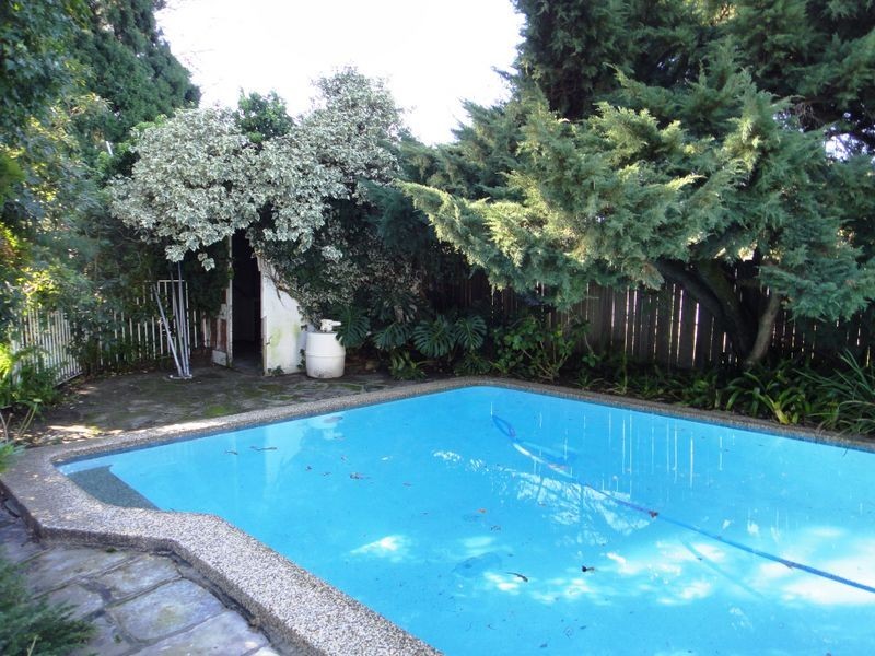 19 Waterloo Road, North Epping NSW 2121