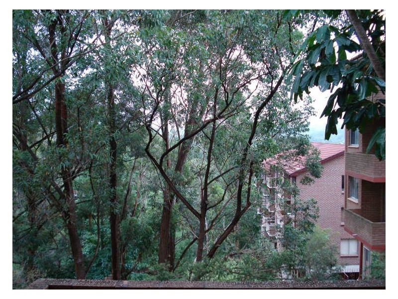 10/5 Leisure Close, North Ryde NSW 2113