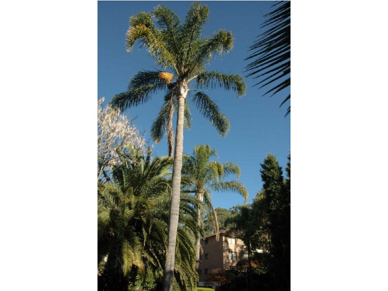 27/25 Carlingford Road, Epping NSW 2121