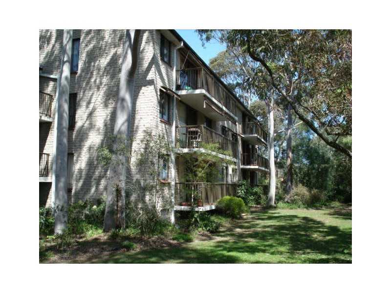 5/205 Waterloo Road, Marsfield NSW 2122