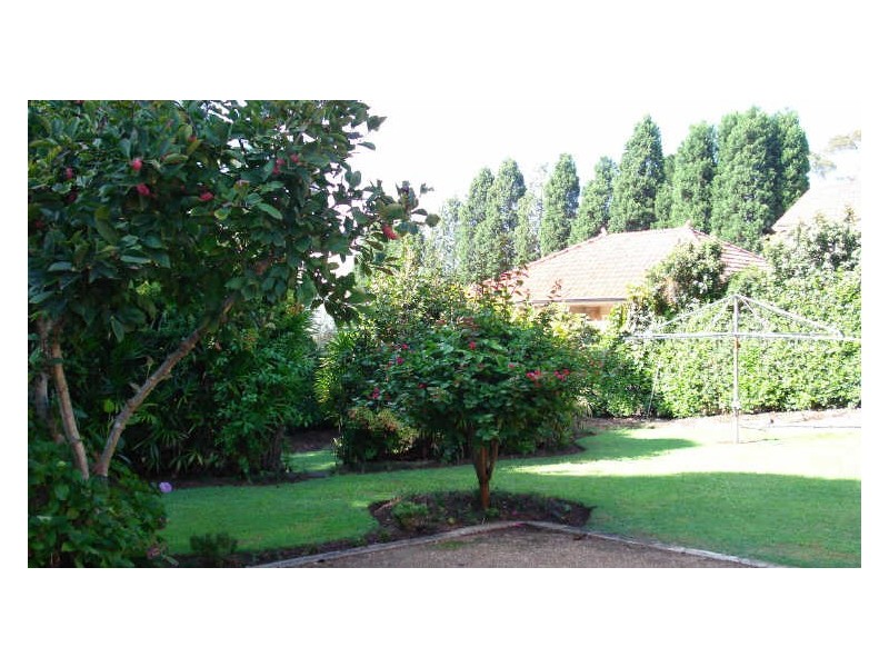 17 Cheltenham Road, Cheltenham NSW 2119