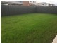 30 Noble Court, Woongarrah NSW 2259