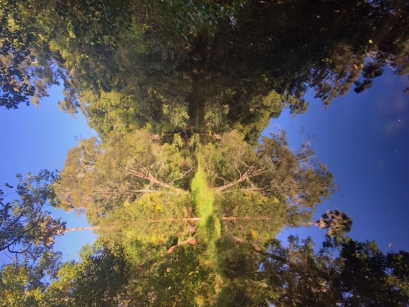 3 Fowler Road, Tuggerah NSW 2259