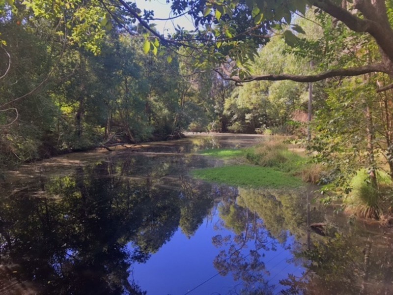 3 Fowler Road, Tuggerah NSW 2259