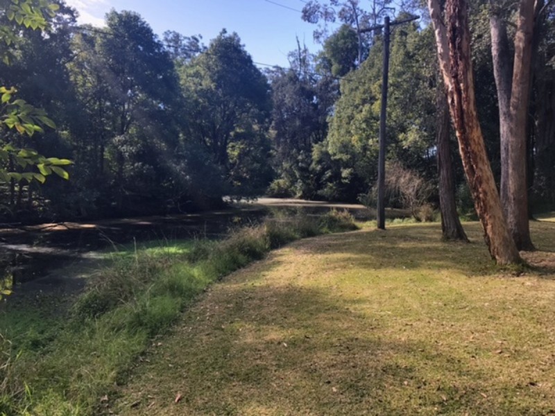 3 Fowler Road, Tuggerah NSW 2259