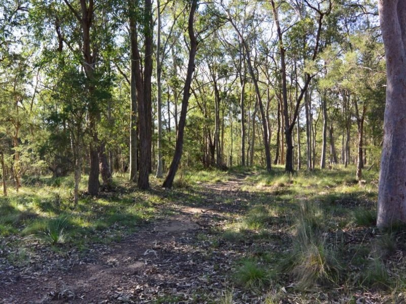 188 Hakone Road, Woongarrah NSW 2259