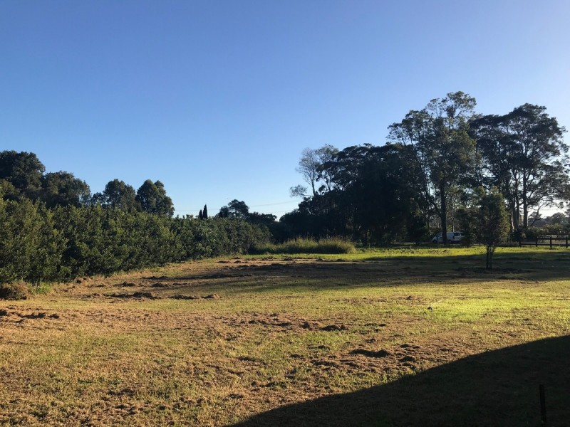31 Pollock Avenue, Wyong NSW 2259