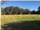 31 Pollock Avenue, Wyong NSW 2259