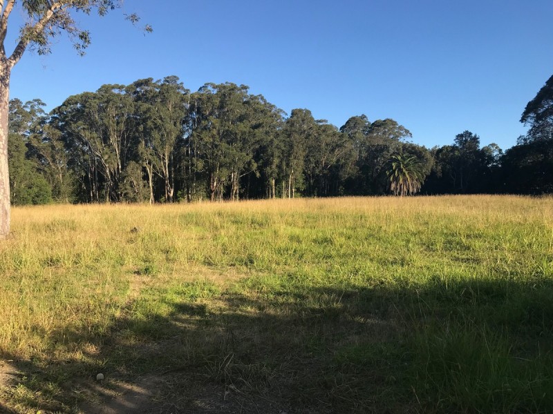 31 Pollock Avenue, Wyong NSW 2259