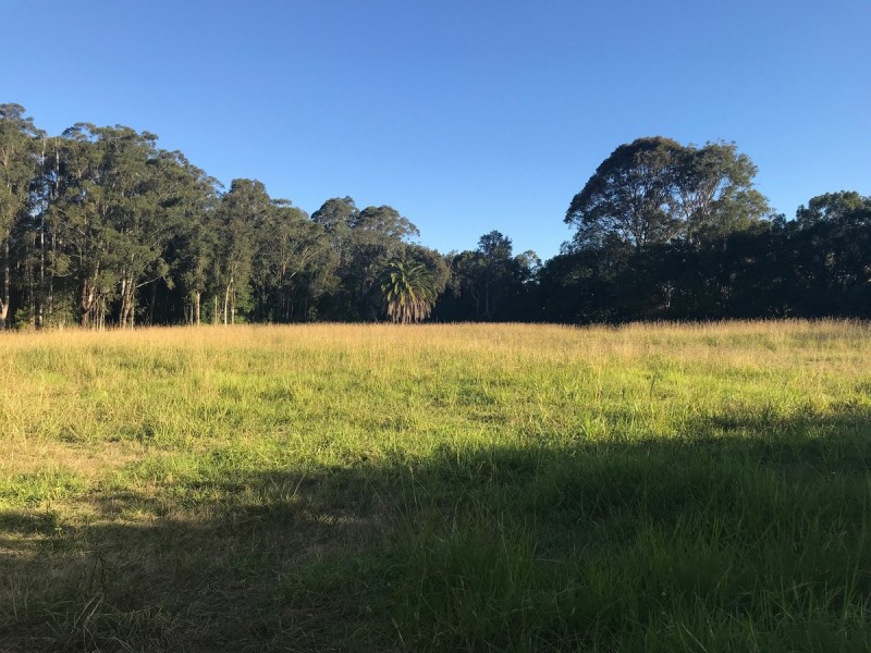 31 Pollock Avenue, Wyong NSW 2259