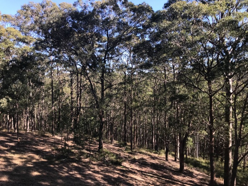 76 Old Maitland Road, Kangy Angy NSW 2258