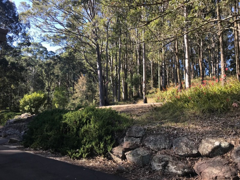 76 Old Maitland Road, Kangy Angy NSW 2258