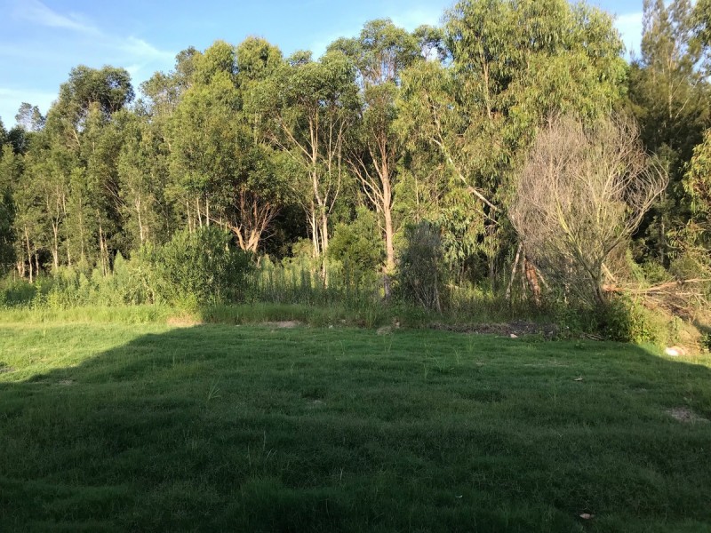 59 Windsorgreen Drive, Wyong NSW 2259