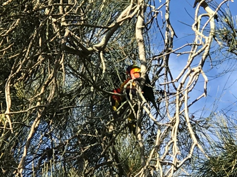 414 Tuggerawong Road, Tuggerawong NSW 2259