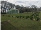 42 Chandlers Lane, Wyong Creek NSW 2259